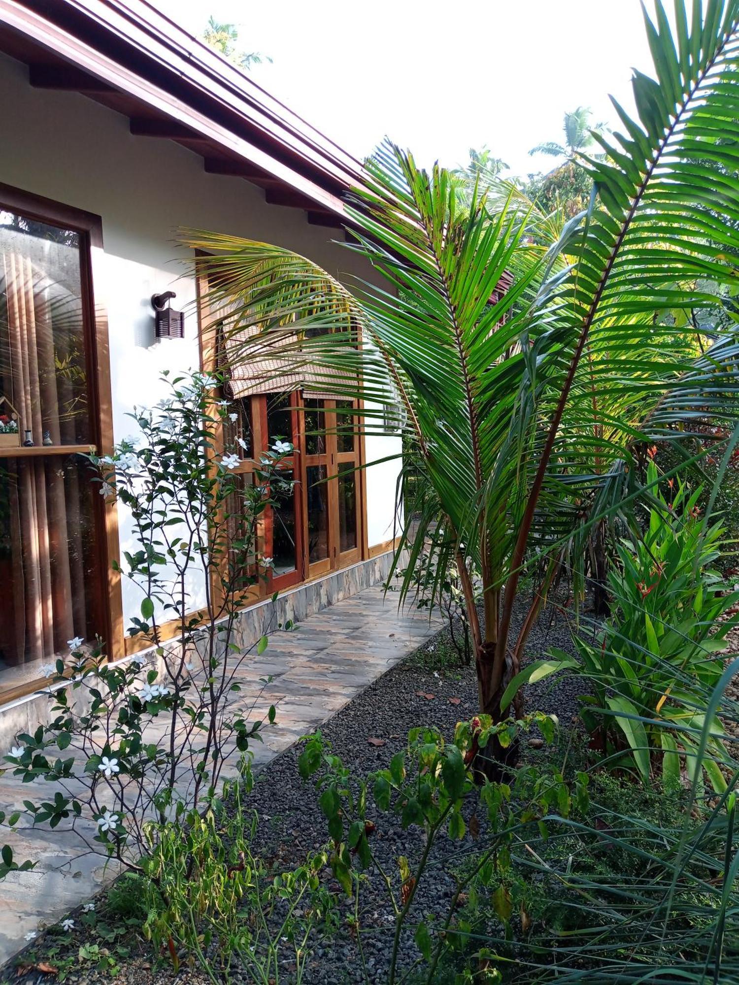 Luxury Villa With Bb Free Wi-Fi Bentota Exteriör bild